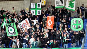 Green Dragons navijaci tribuna transparenti zastave zastava