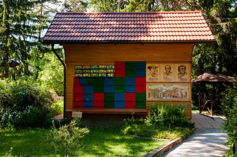 Tradicionalni panji, čebele, Slovenija | Avtor: Profimedia
