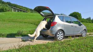 Jack skače v Merivo