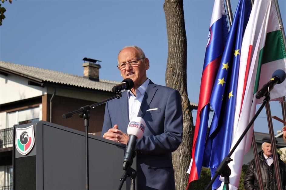 Toyota japonske češnje