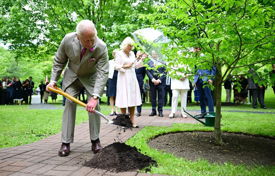 Kraljica Camilla | Avtor: Profimedia