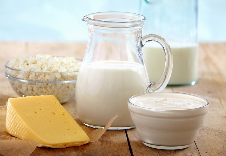mlečni izdelki sir mleko jogurt