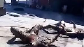 Mehika, zoglenela trupla