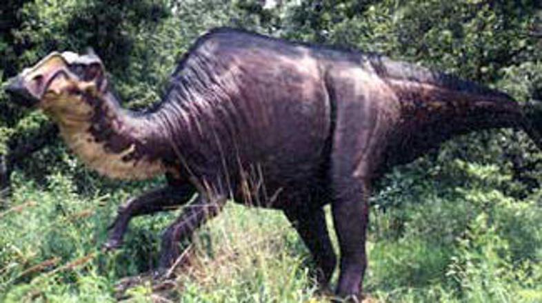 Dinozavri so s površja Zemlje izginili pred 65 milijoni let.