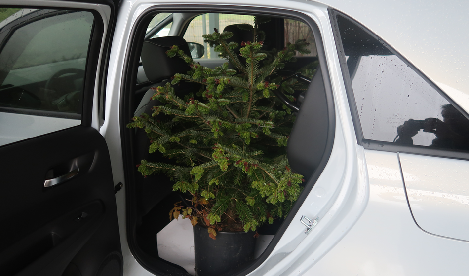 Mali, velik avto: vanj smo spravili smreko, 4 pnevmatike, samokolnico ...