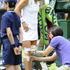 Kirsten Flipkens Wimbledon polfinale