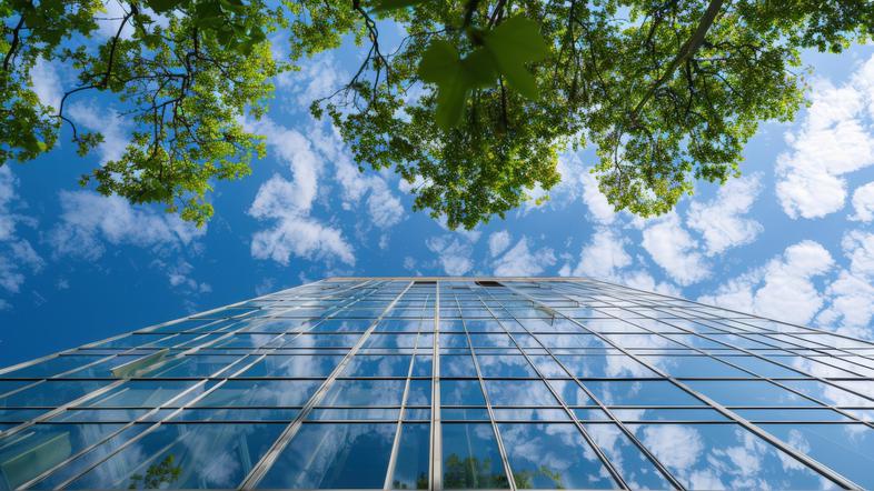 stavba zelena drevesa trajnostnost trajnostno