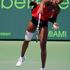 polfinale Miami 2010 Venus Williams