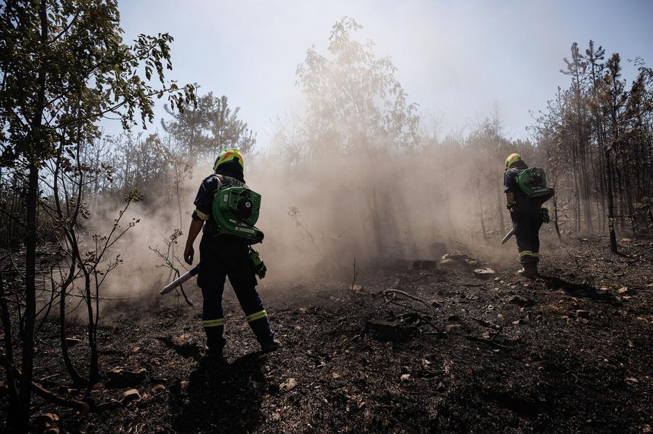 požar Renče gasilci požgana zemlja | Avtor: Profimedia
