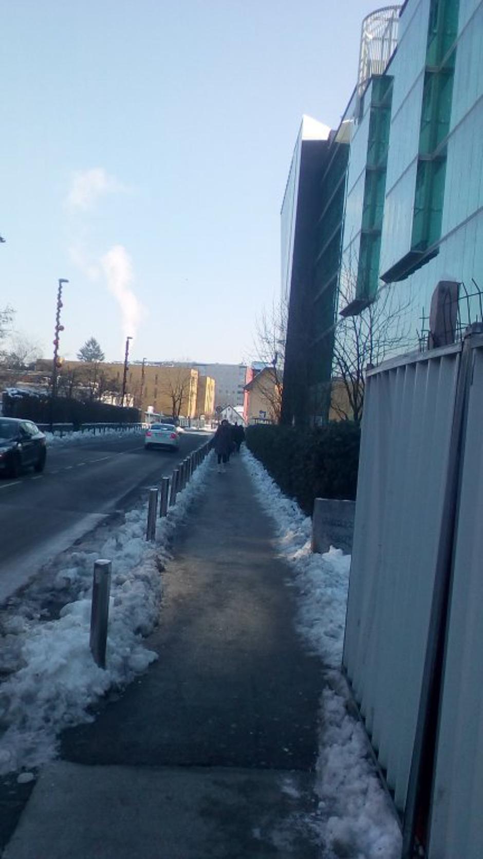 poledica Ljubljana | Avtor: V. L. 