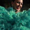 Flamenco_2011