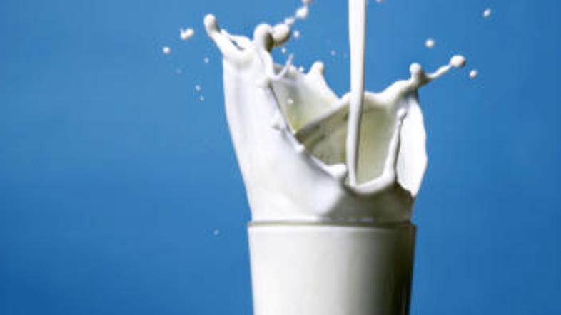 Polnomastno in manj mastno mleko vsebujeta enako količino kalcija.
