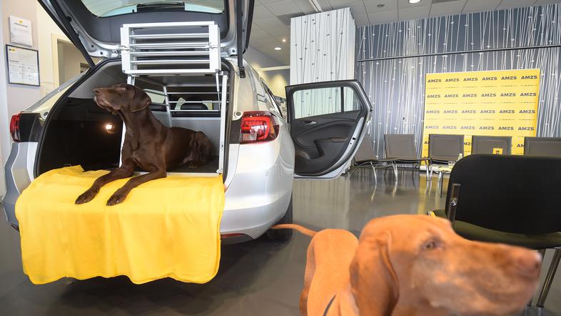 Prikaz varne vožnje živali.