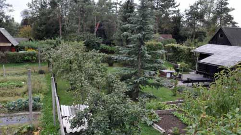 Mestna zemljišča za vrtičke bodo oddajali na trajnih in začasnih lokacijah.