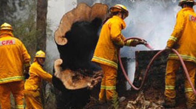 Samo tri tedne po najhujših požarih v zgodovini države se gasilci že soočajo z n