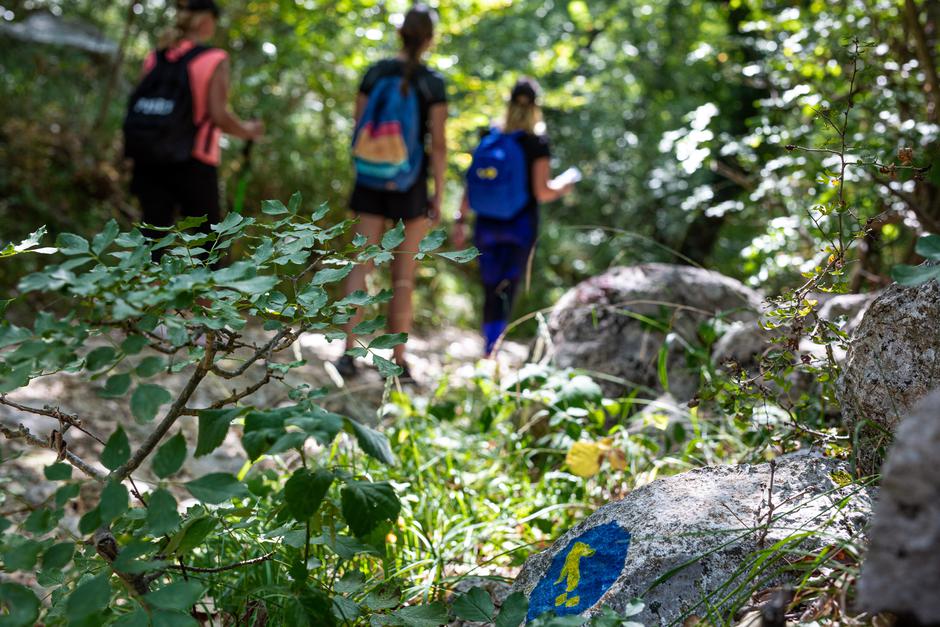 Camino Krk | Avtor: Luka Tabako