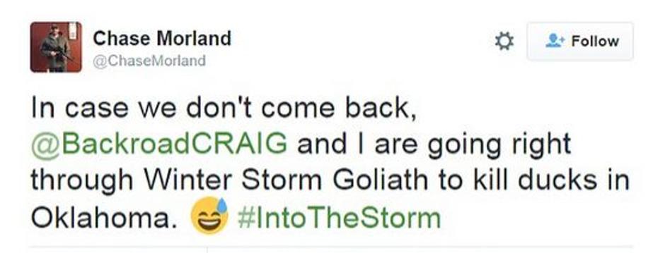 chase morland | Avtor: Reševalni pas/Twitter