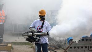 Iztrebljanje komarjev v Braziliji