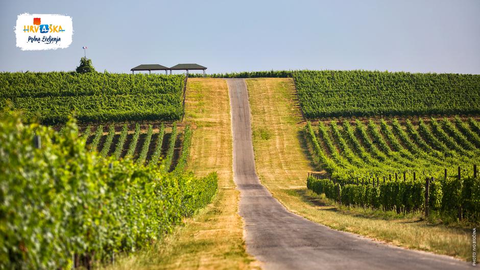 novinarski brunch | Avtor: HTS