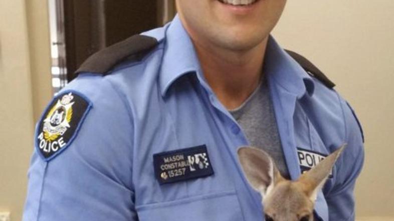 Kengurujček in policist