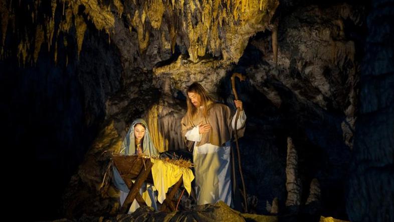 jaslica Postojnska jama