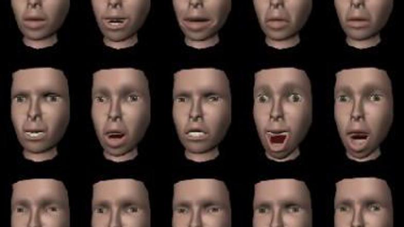 Različno naj bi interpretirali predvsem izraze strahu in presenečenju.