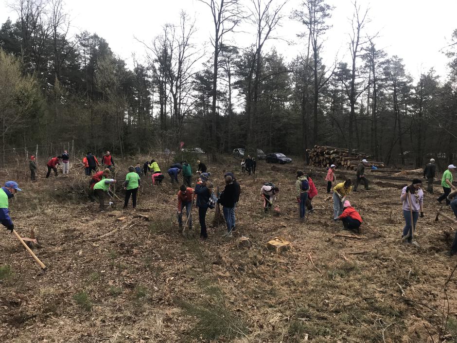 Nova KBM | Avtor: Nova KBM