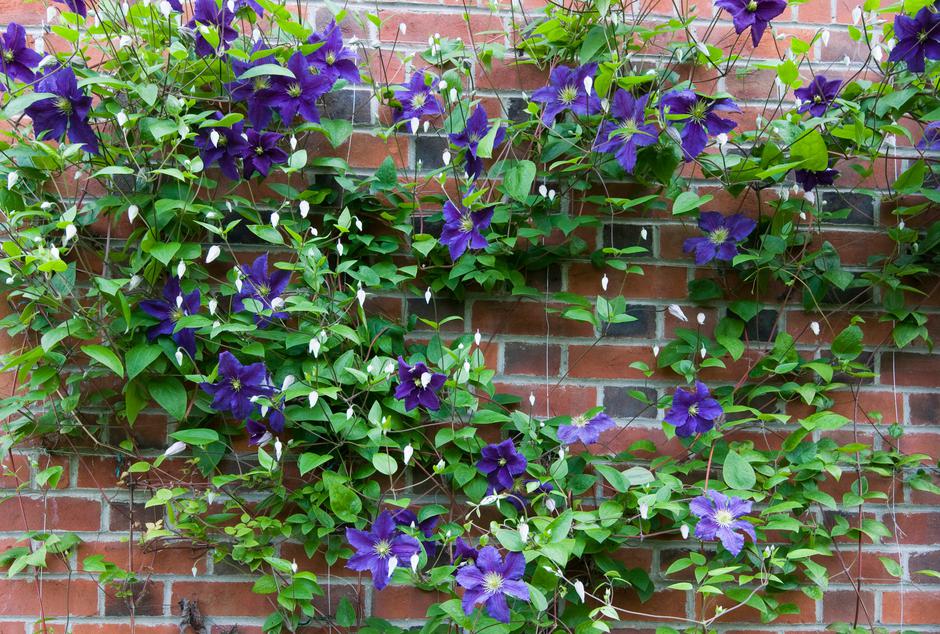 srobot | Avtor: Profimedia