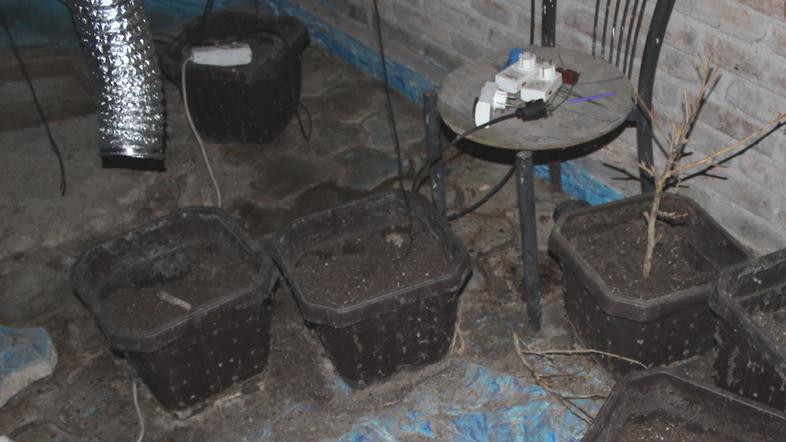 Policisti našli posebej prirejen prostor za gojenje konoplje