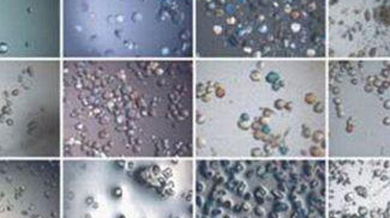 Penasta substanca lahko absorbira CO2 do 83-kratnika svojega volumna.