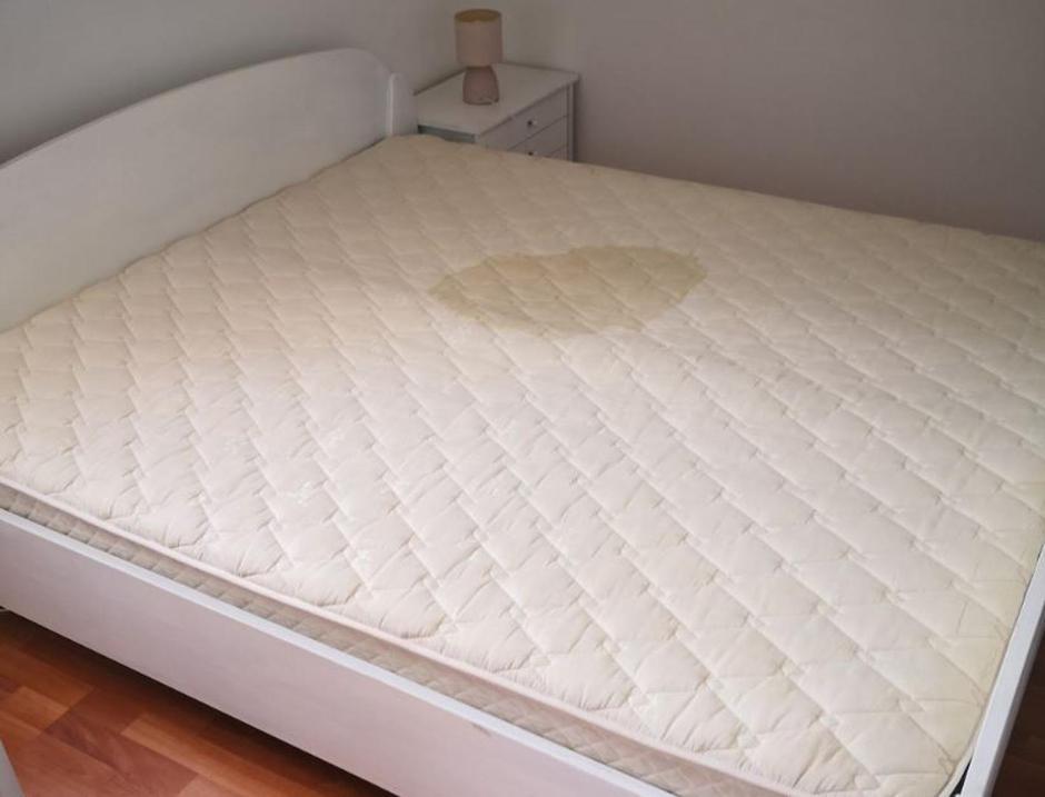 Apartma Hrvaška | Avtor: Bralec Večernjega lista