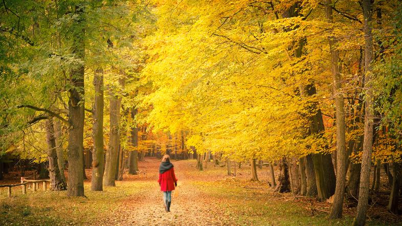 sprehod zrak zdravje