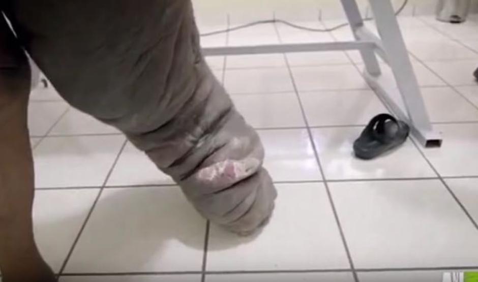 Elefantiaza | Avtor: Enimal Planet