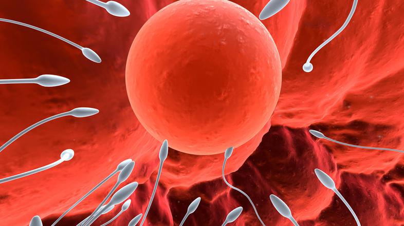 45. ali 50. rojstni dan še ne prinaša zaščite pred zanositvijo. (Foto: Shutterst