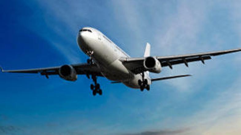 Komisarka Meglena Kuneva je s črnega seznama celo prebrala imena letalskih družb