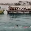 Napad morskega psa v Egiptu