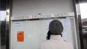 Med na novo prijavljenimi je bilo lani na zavodu za zaposlovanje okoli 1.330 isk