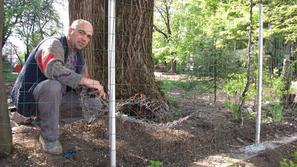 Saledin Bedžeti je dobil idejo, da bi zaraščeno parcelo preuredil v vrt z gozdni