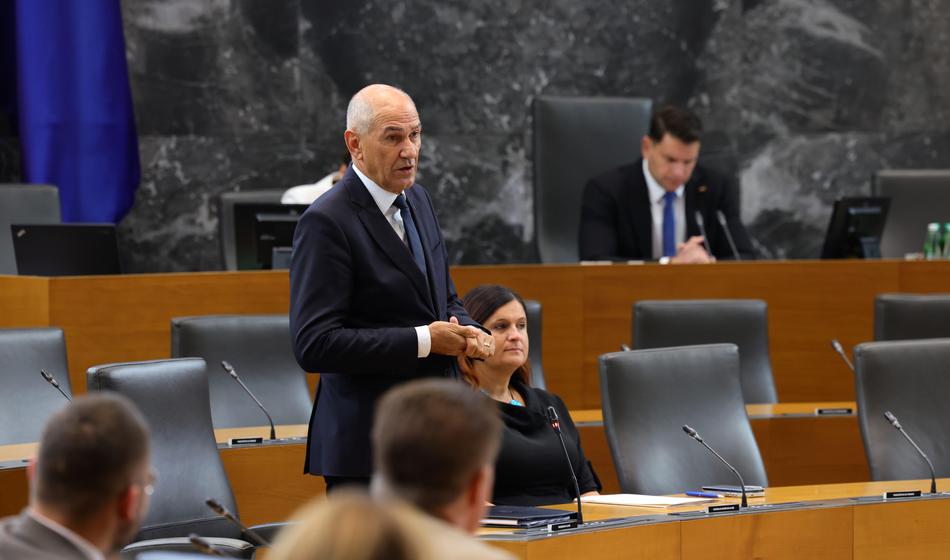 "Posvetovalni referendumi so preusmerjanje pozornosti"