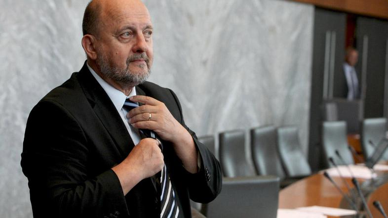 Zmago Jelinčič (Foto: Saša Despot)