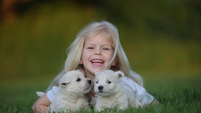 “Če se srečate s psom, se raje ustavite in ga spustite mimo; če ga ne poznate, g