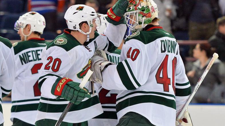 minnesota wild