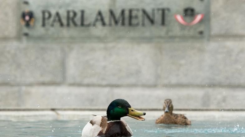 Račke pred avstrijskim parlamentom