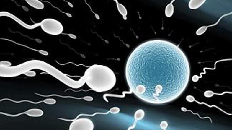 Če bi mu uspelo prodati vse epruvete, bi pretkani tat v žep spravil precej denar