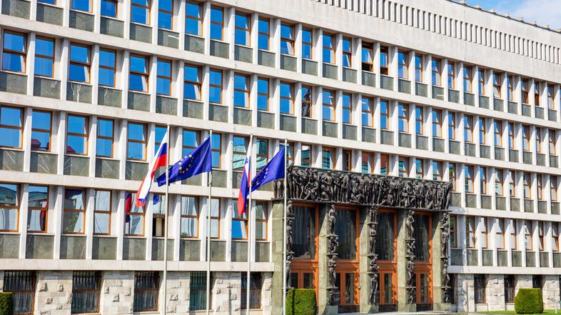 državni zbor parlament