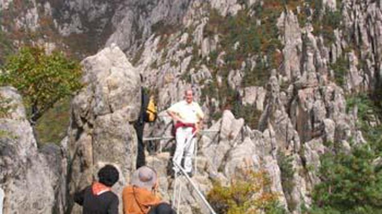 Nenadna zrušitev mostu v naravnem parku Mount Kumgang na srečo ni zahtevala smrt