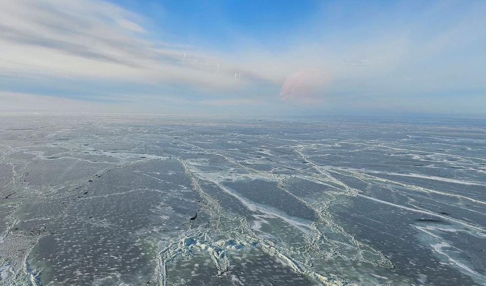 Obtičala sredi zamrznjenega zaliva, tako pametno sta se rešila