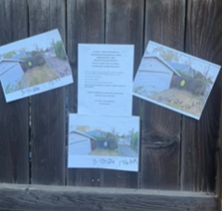 sosed | Avtor: Instagram