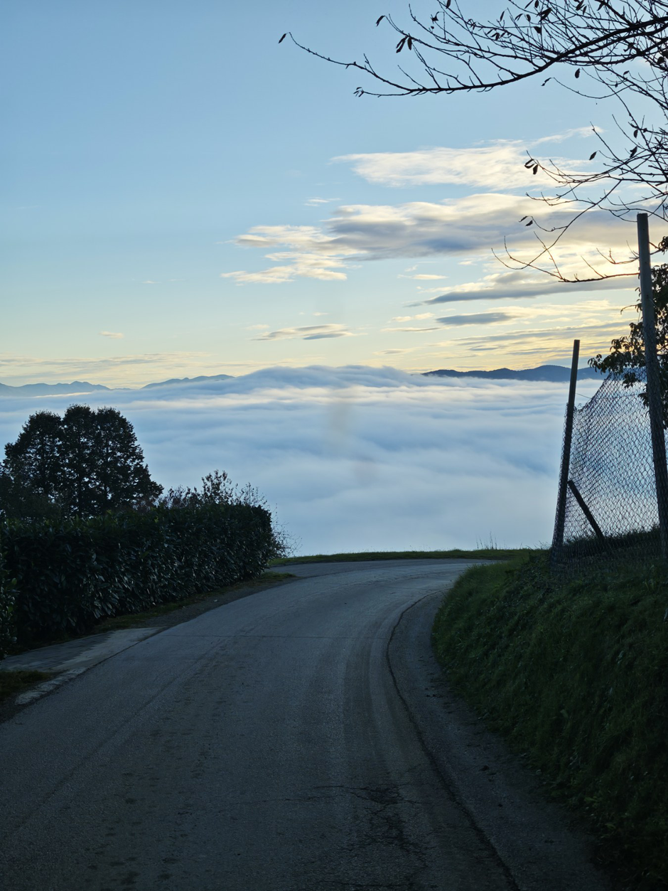 Megla | Avtor: Žurnal24 