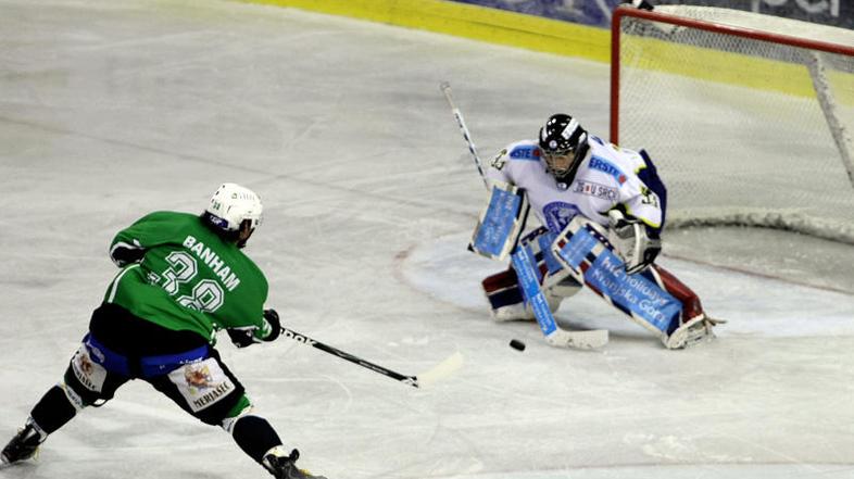 Zeleno-beli so bili proti Salzburgu brez nabojev. (Foto: Saša Despot)